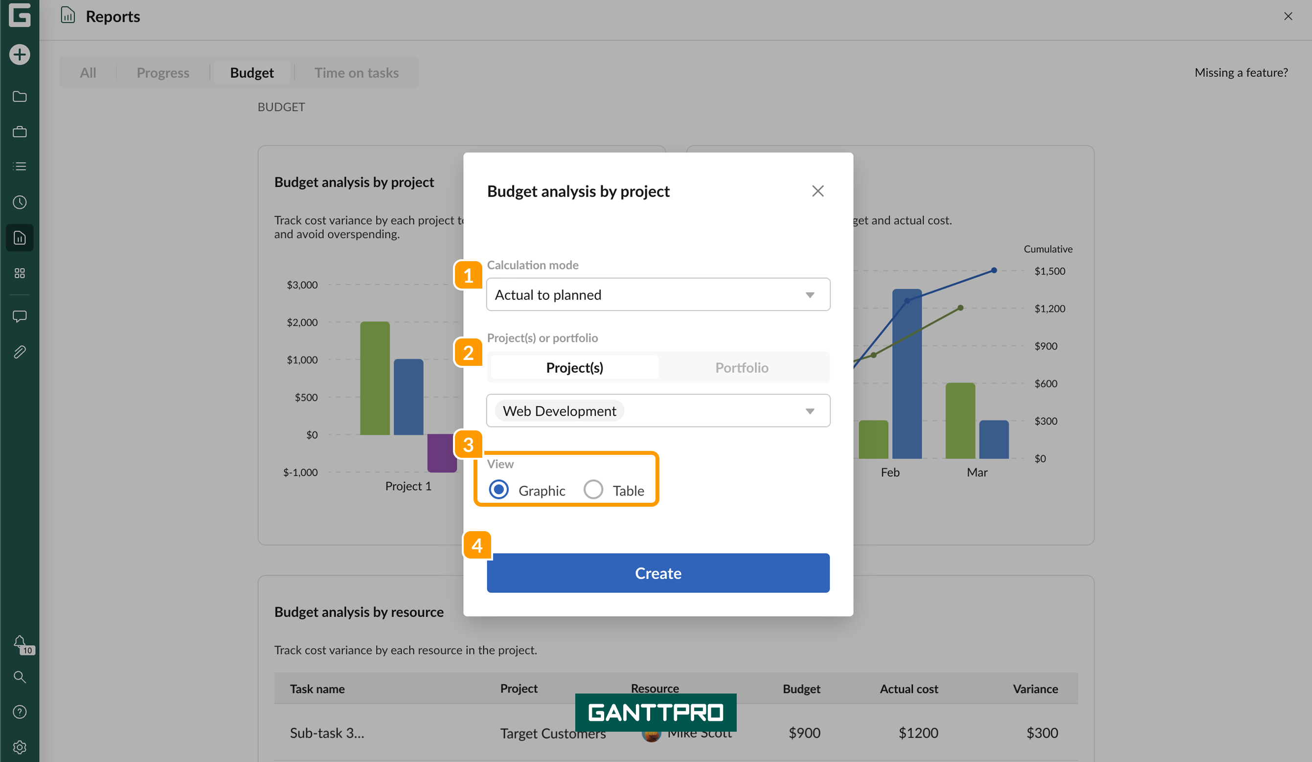 Budget reports-choose projects.png